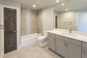 Basement Development - Bathrooms